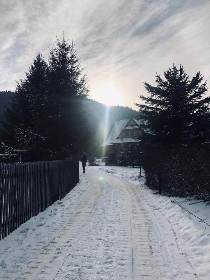 Giewont Mountain View Apartment Zakopane Eksteriør billede